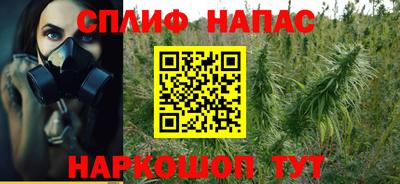 прущие грибы Бузулук
