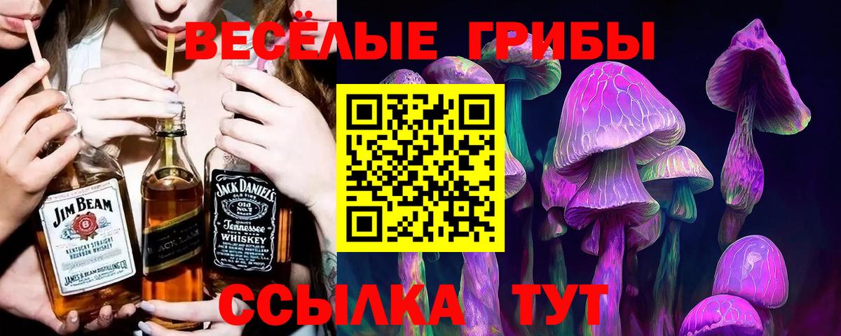 Муравленко  Псилоцибиновые грибы Psilocybine cubensis  Вход с VPN 
