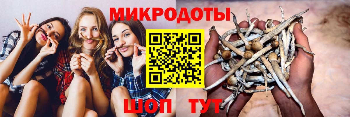 Галлюциногенные грибы GOLDEN TEACHER Муравленко